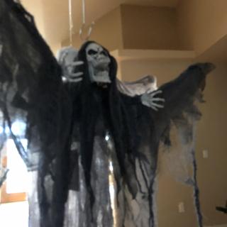 Winged reaper