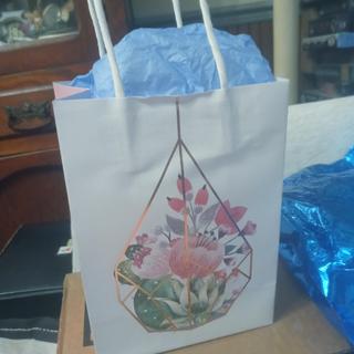 Gift bag with blue tissue paper
