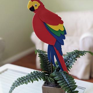 Parrot centerpieces