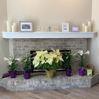 Yes.... that is still our Christmas poinsettia!!