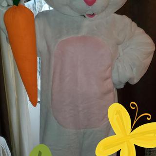 Bunny