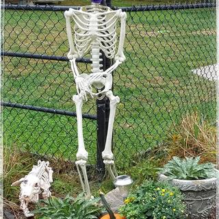Official Greeter
