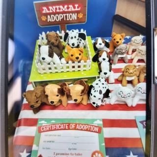 Adoption table set up