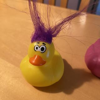 Two duck
