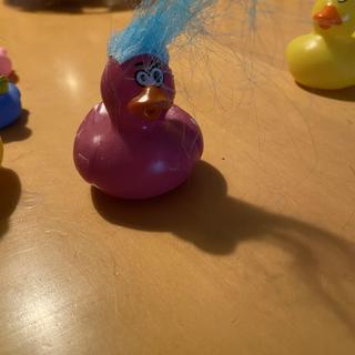 Three duck