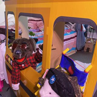 Puppets take the bus