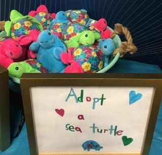 Adopt a sea Turtle