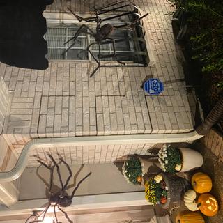 Because their legs have wires they wrap easily.