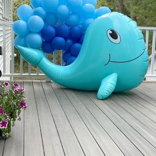 Whale setting
