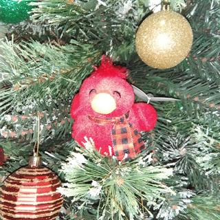 Red bird in a tree 🎄
