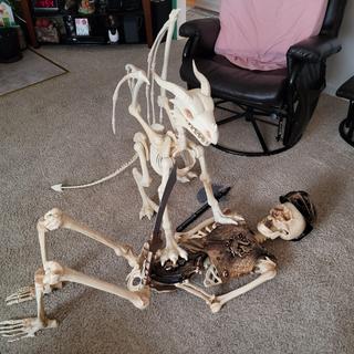 Playing with it's new friend