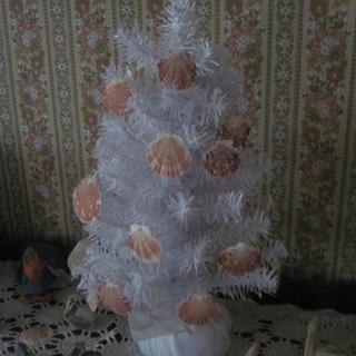 Tree by the sea