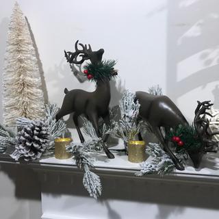 Classy Reindeer