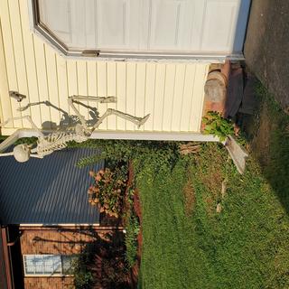Climbing skeleton