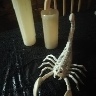 My skeleton scorpion