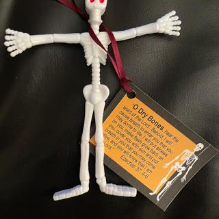 These went great with the lesson on the "Dry Bones" - Ezechiel 37.