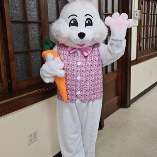 Easter Bunny