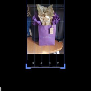 Purple bag