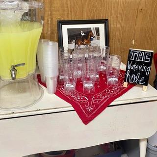 Boot cup