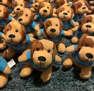 Reading reward pups