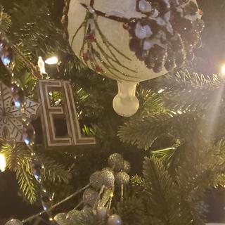 Pinecone ornament
