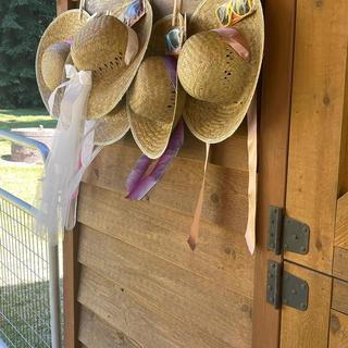 Sun hats