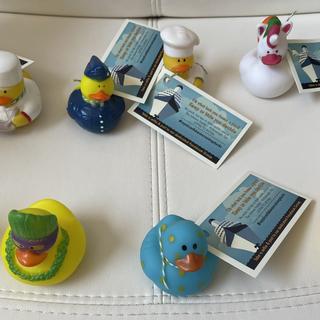 Hiding Ducks on cruise