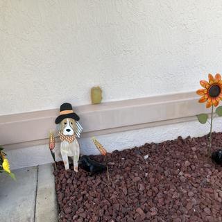 Fall decorations