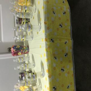 Gender reveal &ldquo;What will it Be&rdquo;