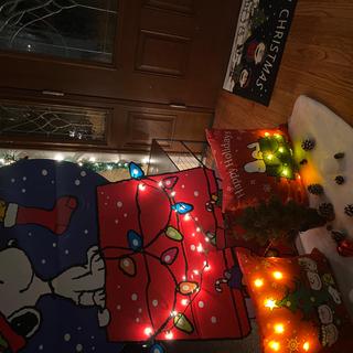Peanuts Prop