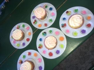Cupcake palette 