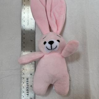Actual bunny size