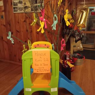 Rescue a kitty from a tree- Fireman Party