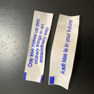 Sample fortunes