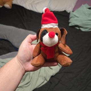 Puppy