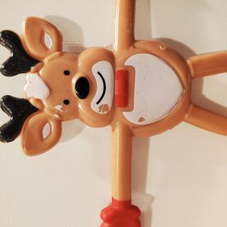 Reindeer