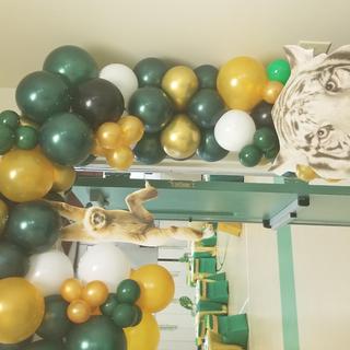 Safari Baby shower