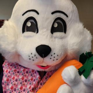 Mrs Rabbit