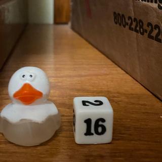 Mini Ducks (minority). Dice for scale.