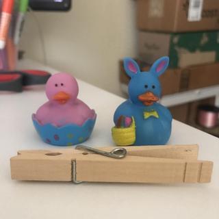 Clothespin for size reference