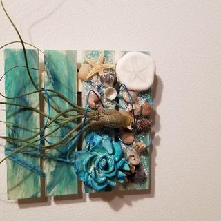 CCoastal magnet with real air plant 6