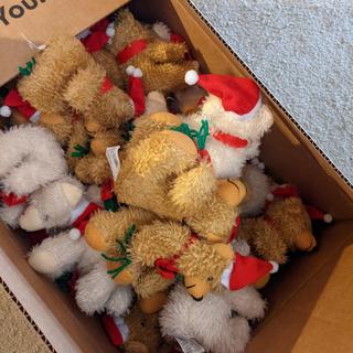 4 orders of bears