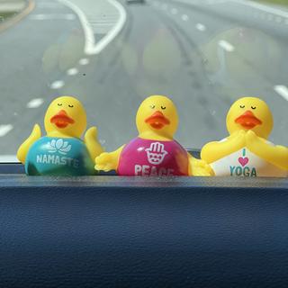 Yoga ducks