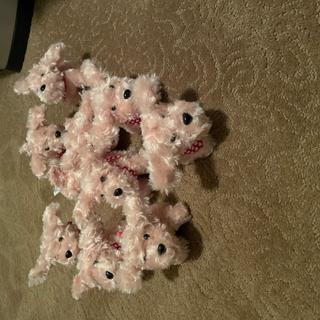 Cute and cuddly