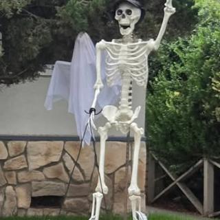 My &quot;husband&quot; walking our &quot;dogs&quot;.