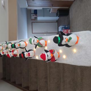 Penguin Wonderland