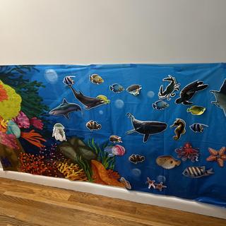 Ocean unit