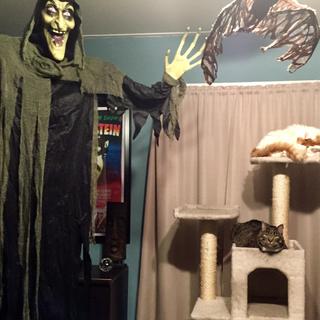 Witch and her cats