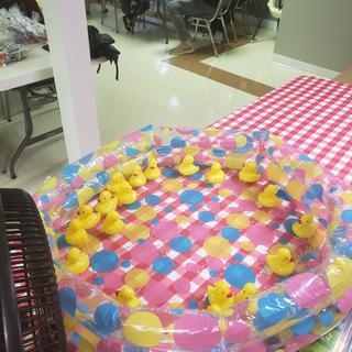 Duck game