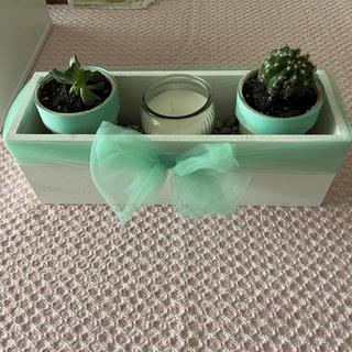 Shower centerpiece